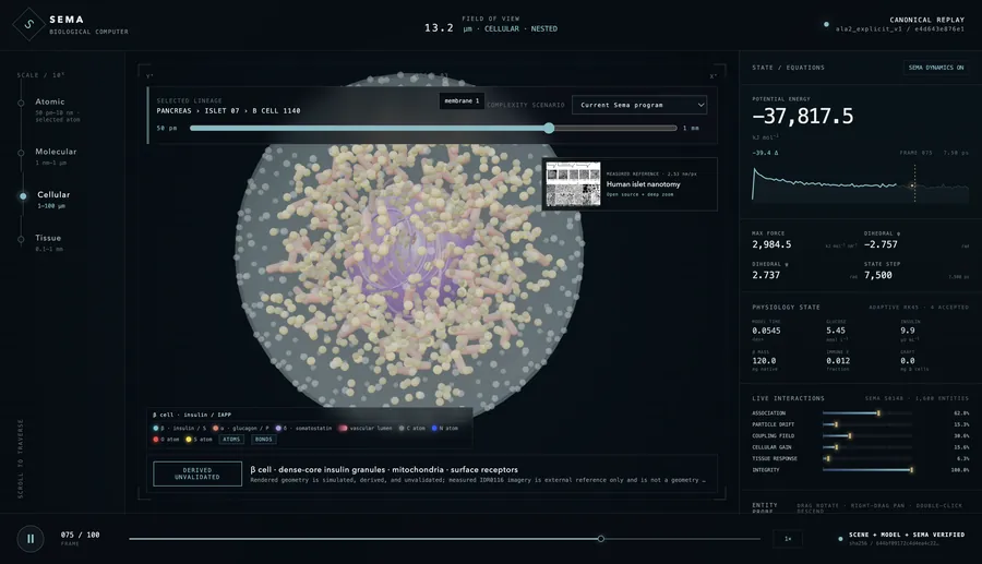 Cellular-scale view of the biological computer prototype, labelled as derived and unvalidated.